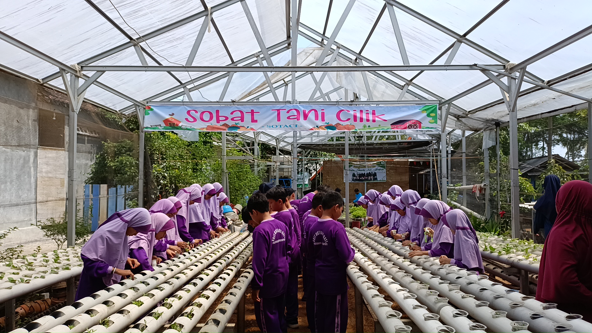 MUTIARA
